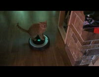 Orange cat press off button robot cleaner 