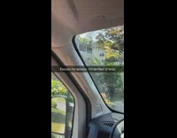 Guy screams when bee starts flying 