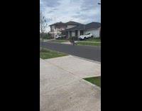 Kangaroo hopping down residential street 