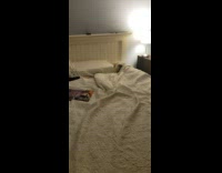 Pet dog lies down on the bed looks when called