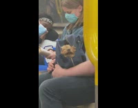 Dog Sits inside Backpack on Subway Ride 
