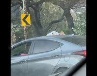 Girl poses with body out car window 