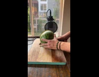 Guy makes beat music with watermelon microphone 