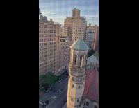 Falcon fly past apartment windows 
