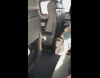 Woman pets white dog between her legs on metro train