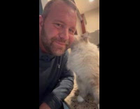 Ragdoll cat likes to lick man face