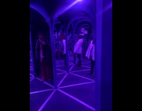 Lady Treads inside Mirror Maze and Laughs