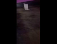 Guy runs out of car after cop pulls friend over 