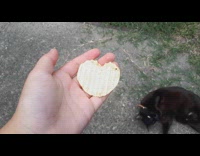 Filmer shows chip shaped like a heart