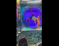 Collab Clips MPUGC - Man spins on human hamster wheel