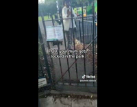 Collab ClipsIG - Mother jumps out of the locked fence