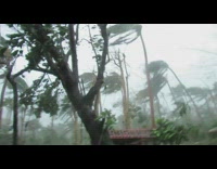 Guy stands outside during typhoon rolly philippines 