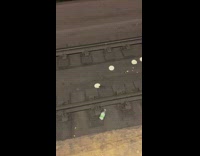 Spilled tortillas on train track and rat takes a tortilla