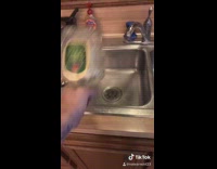 Collab BitchIG2 - Crown apple bottle alcohol doesnt break