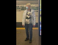 White Puppy Waits for Train Attached to Pet Owner 