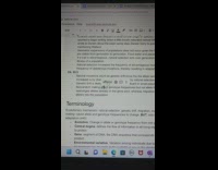 Google docs autocorrect grammar cannot choose correct word