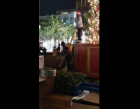 Three people tiktok dance Christmas Tree park