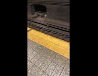 Roach seen jumping into subway tracks