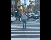 Collab winy - Old man cross street bird on shoulder