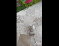 So youre breaking up with me because Im too twirly? 