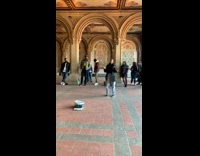 Collab IITW - inside church arches girl sings