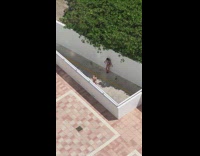 White wall blue bikini top girl whistle