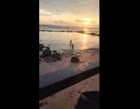 Man shirtless green shorts poses at beach