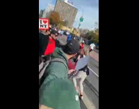 Woman runner takes break to hug brother and drink his beer