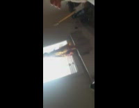 Pet dog lie down on owner and barks at him