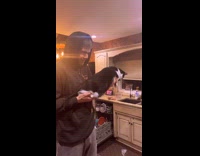 Cat used as pretend gun