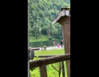 Person in dress poses with luggage behind