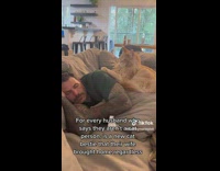 Cat Pats Asleep Man on Arms at Couch