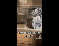 Collab Clips MPUGC - Cat realizing hooman is outside