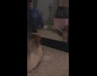 chicken jumping in front of mirror
