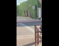 Girls photoshoot front of bush plant grass wall