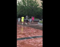 Couple yellow dress floral shirt tiktok dance park