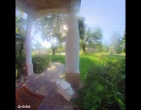 Woman runs into her home chased by raccoon 