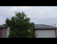 Flock of birds squawks at neighborhood roof