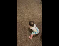 Baby boy brown dog play living room