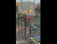 Guy wearing suit dances alone at park  