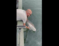 Guy catch sturgeon fish at snake river in southeastern washington state