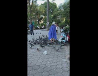Woman with blue raincoat poses with flock of bird