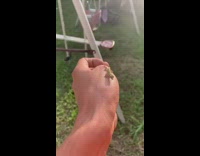 Green gecko lizard on hand guy backyard 