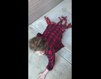 Girl crawls on ground with guts out for Halloween costume