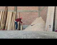 Guy plays with cat by tossing into wood chip pile