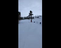 Snowboarder does a backflip over safety net and lands on head