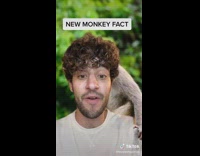 Collab BitchIG2 - Guy new monkey fact scientists teach monkey math