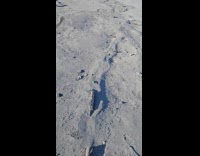 Collab FunBestVids - Guy tries to break ice slips instead