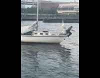 Guy sits at end of boat over water 