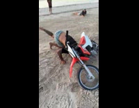 Guy rides motorcycle does tricks hit friend